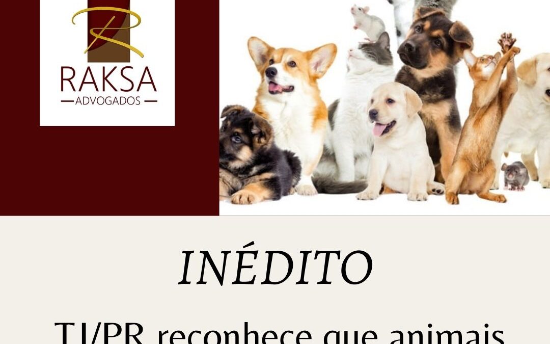 Inédito! TJ/PR reconhece que animais podem ser parte em ações judiciais